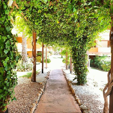 La Entrada Beach Club Torrevieja Exteriör bild