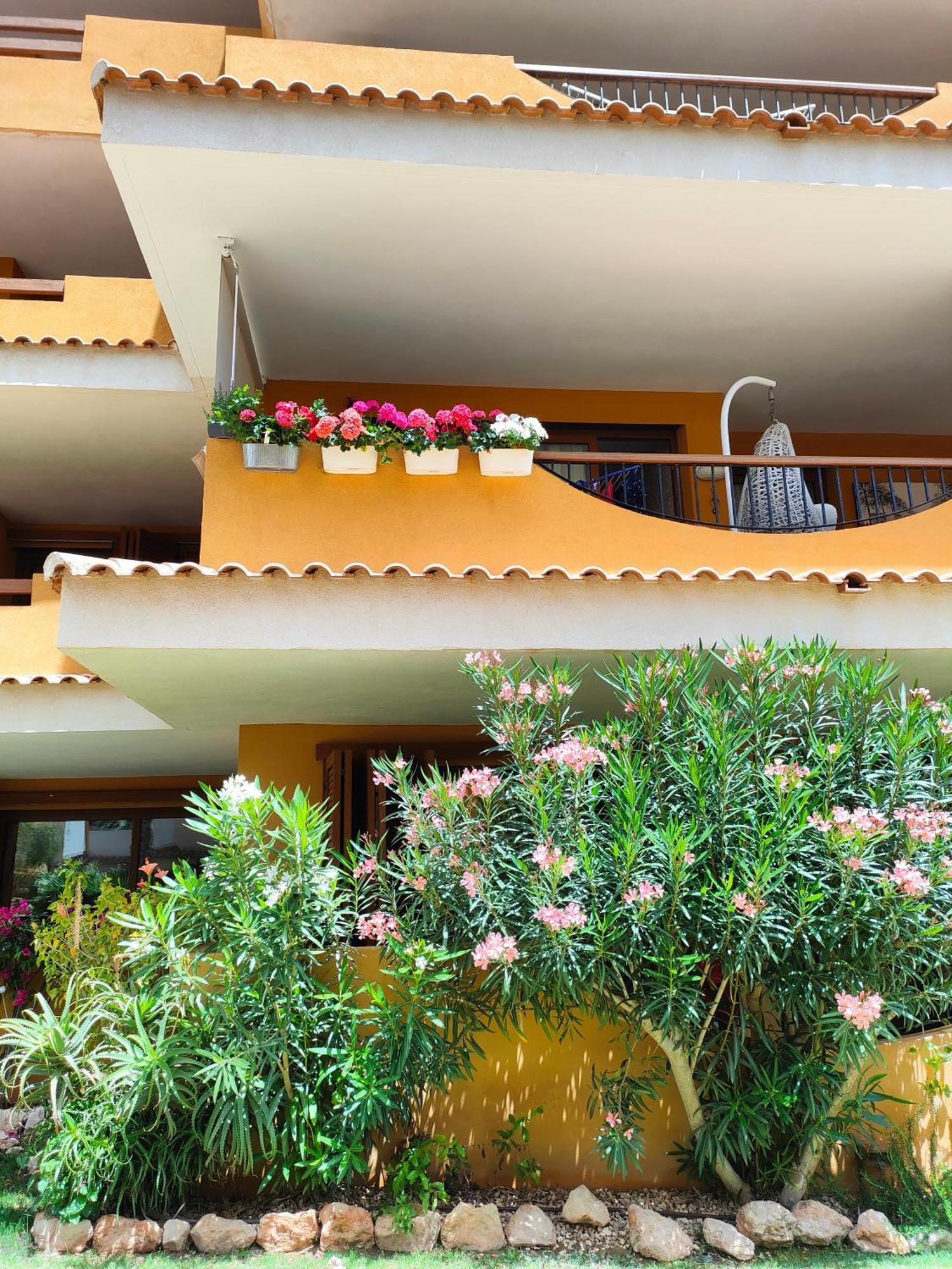 La Entrada Beach Club Torrevieja Exteriör bild