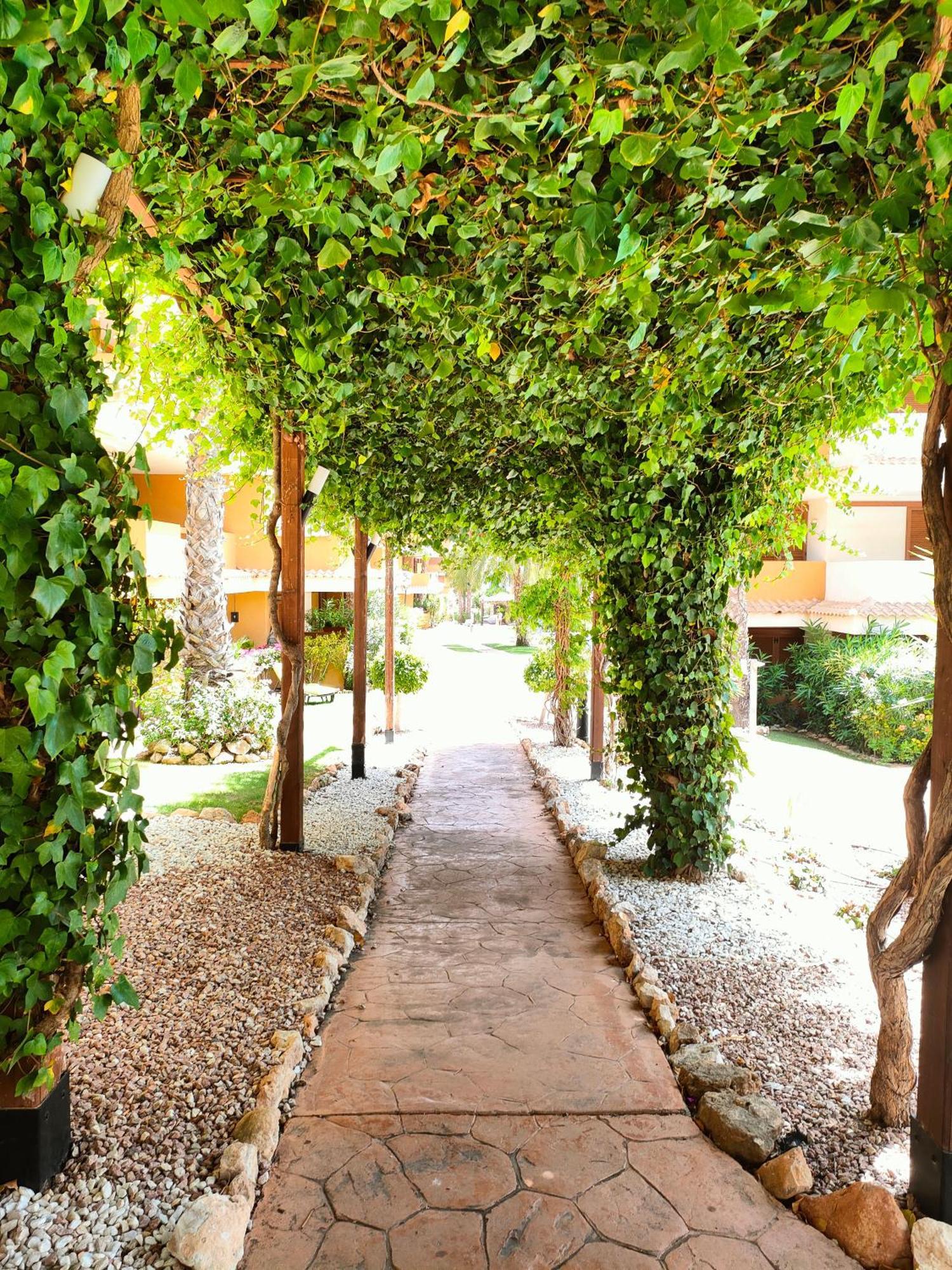 La Entrada Beach Club Torrevieja Exteriör bild